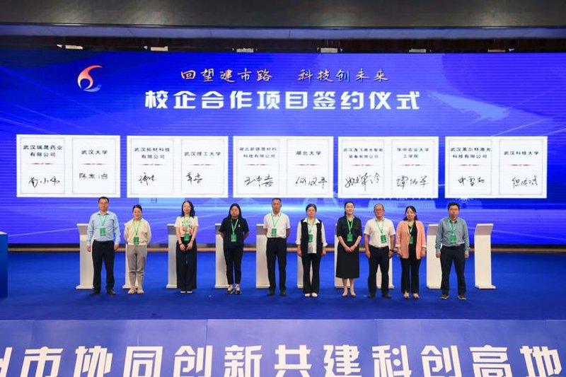 青软实训：教育培训行业的创新风向标