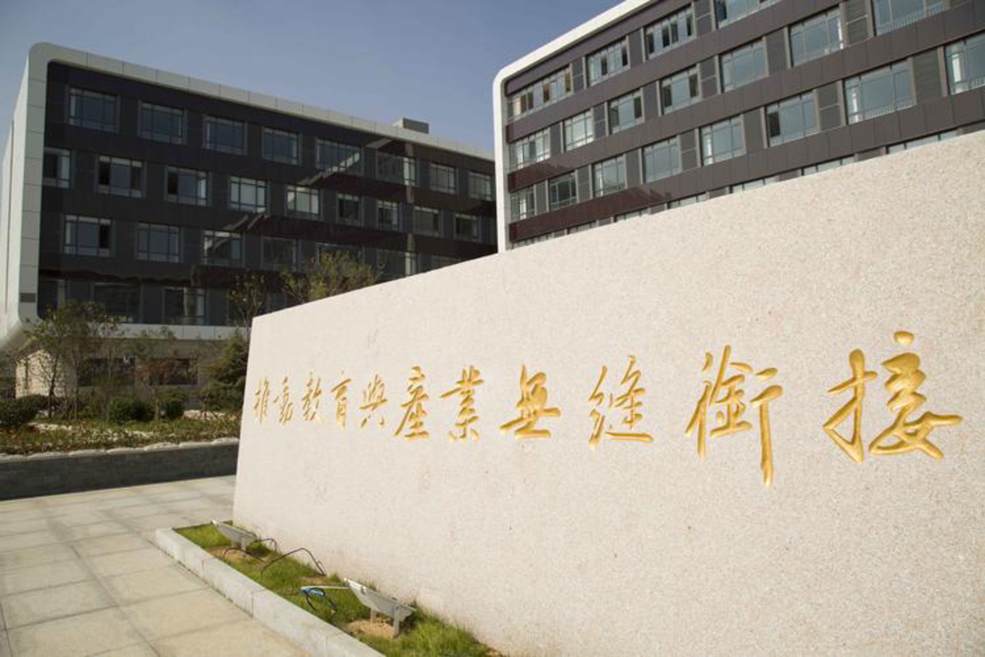 青软实训教育